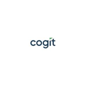 Controlling finansowy zadania - BI business intelligence - Cogit